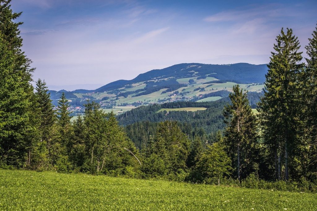 hills, forest, landscape-6385605.jpg